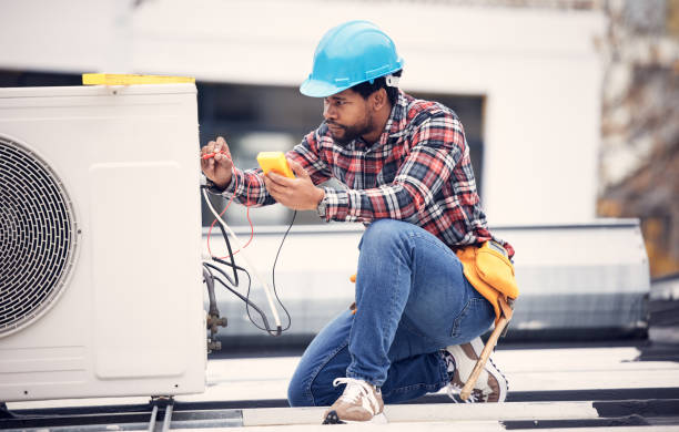 Best Local Electrician Companies  in Ainaloa, HI